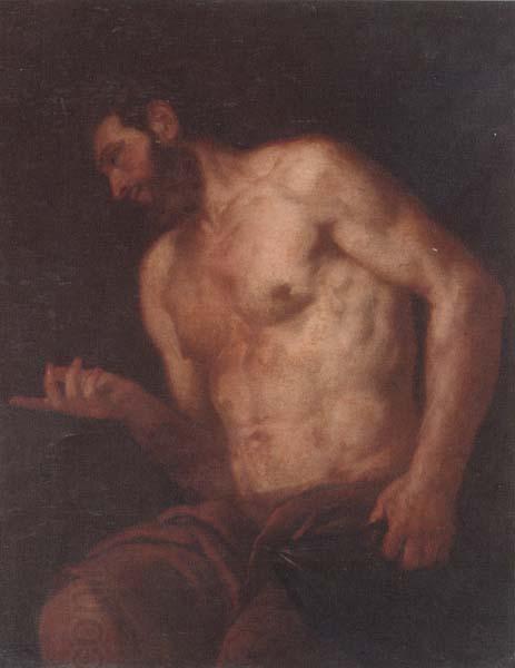 unknow artist Diogenes